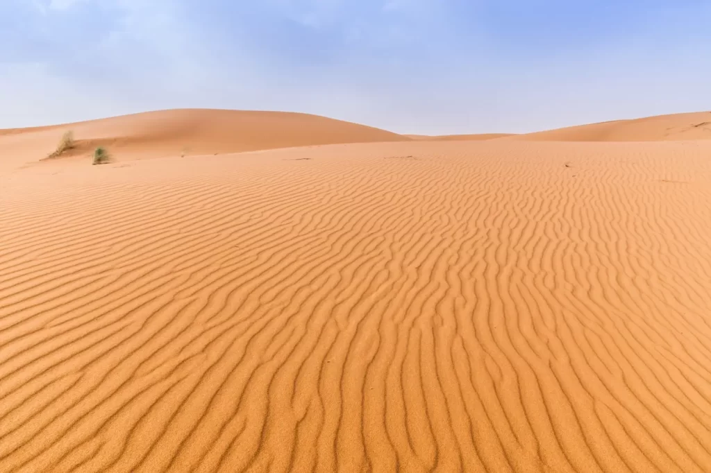 10 Day Tour Marrakech To Marrakech - Sahara desert camel ride