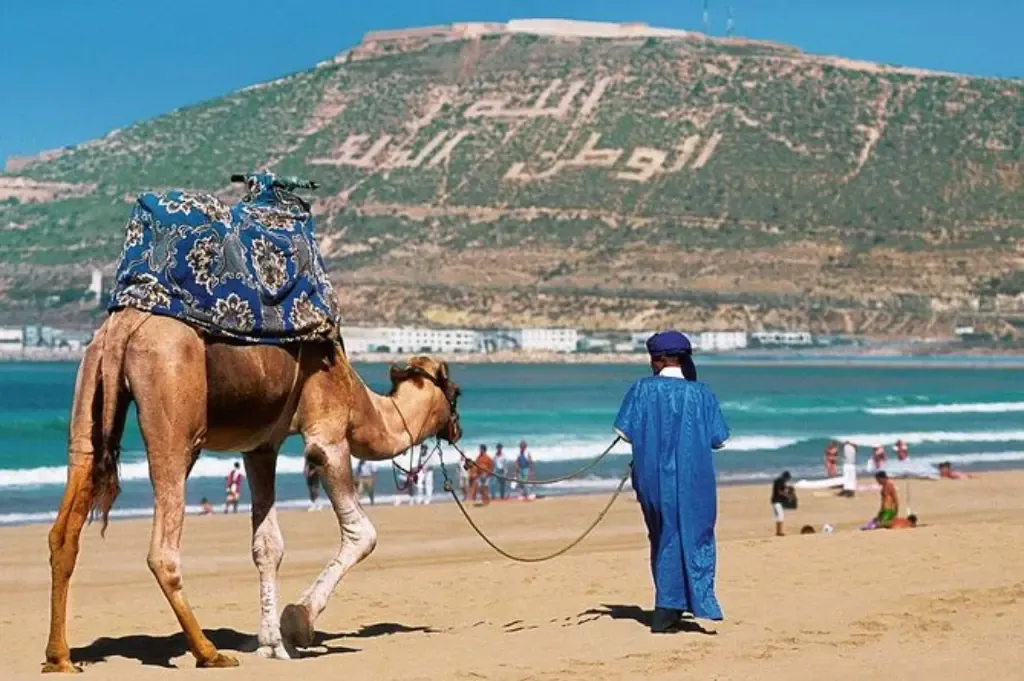 1 Day Discovery Tour of Agadir exploring the Kasbah and city views