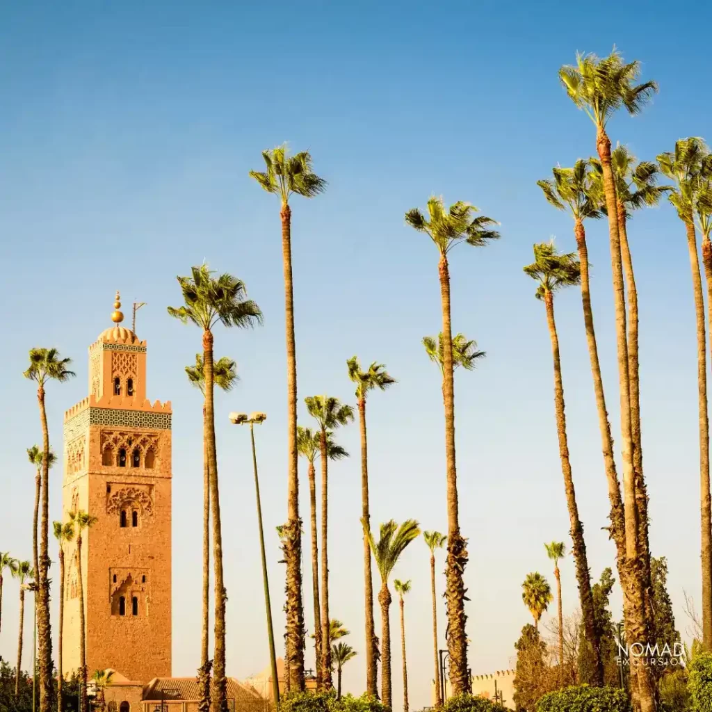 7 Day Tour Desert from Marrakech – camel caravan crossing the Erg Chebbi dunes at sunset